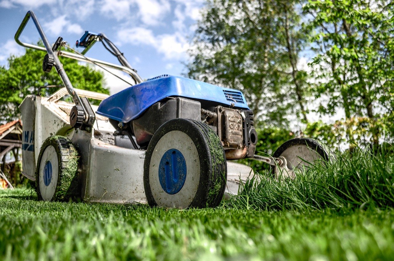 lawn mower, grass, garden, front yard, gardening, lawn-mower chassis, lawn, cutting, gardener, equipment, machine, backyard, nature, mower, maintenance, yard, lawn mower, lawn mower, lawn mower, garden, garden, garden, garden, gardening, gardening, gardening, gardening, gardening, lawn, lawn, lawn, gardener